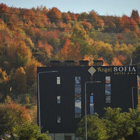 Hotel Angel Sofia Fălticeni Exteriér fotografie