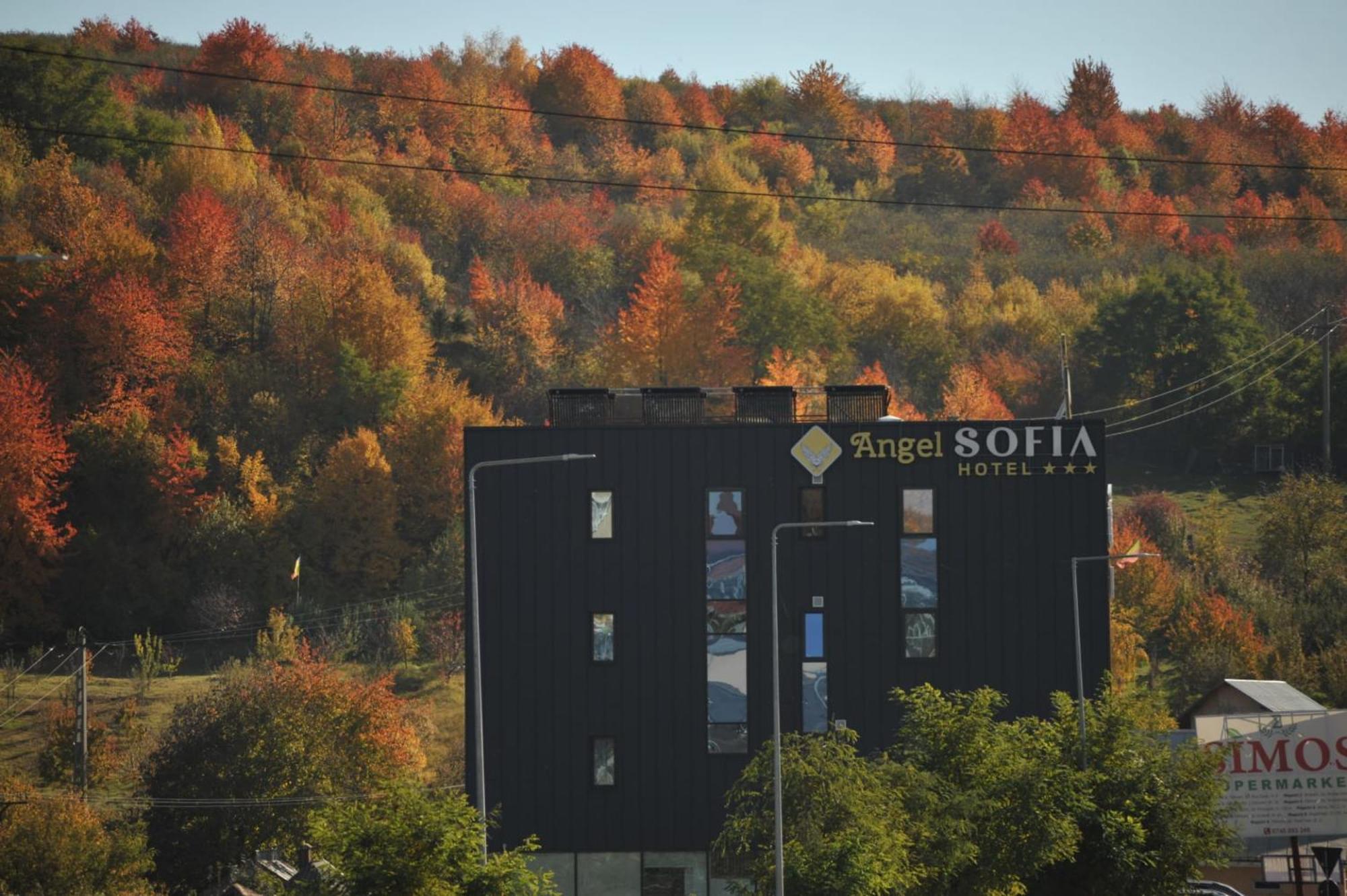 Hotel Angel Sofia Fălticeni Exteriér fotografie