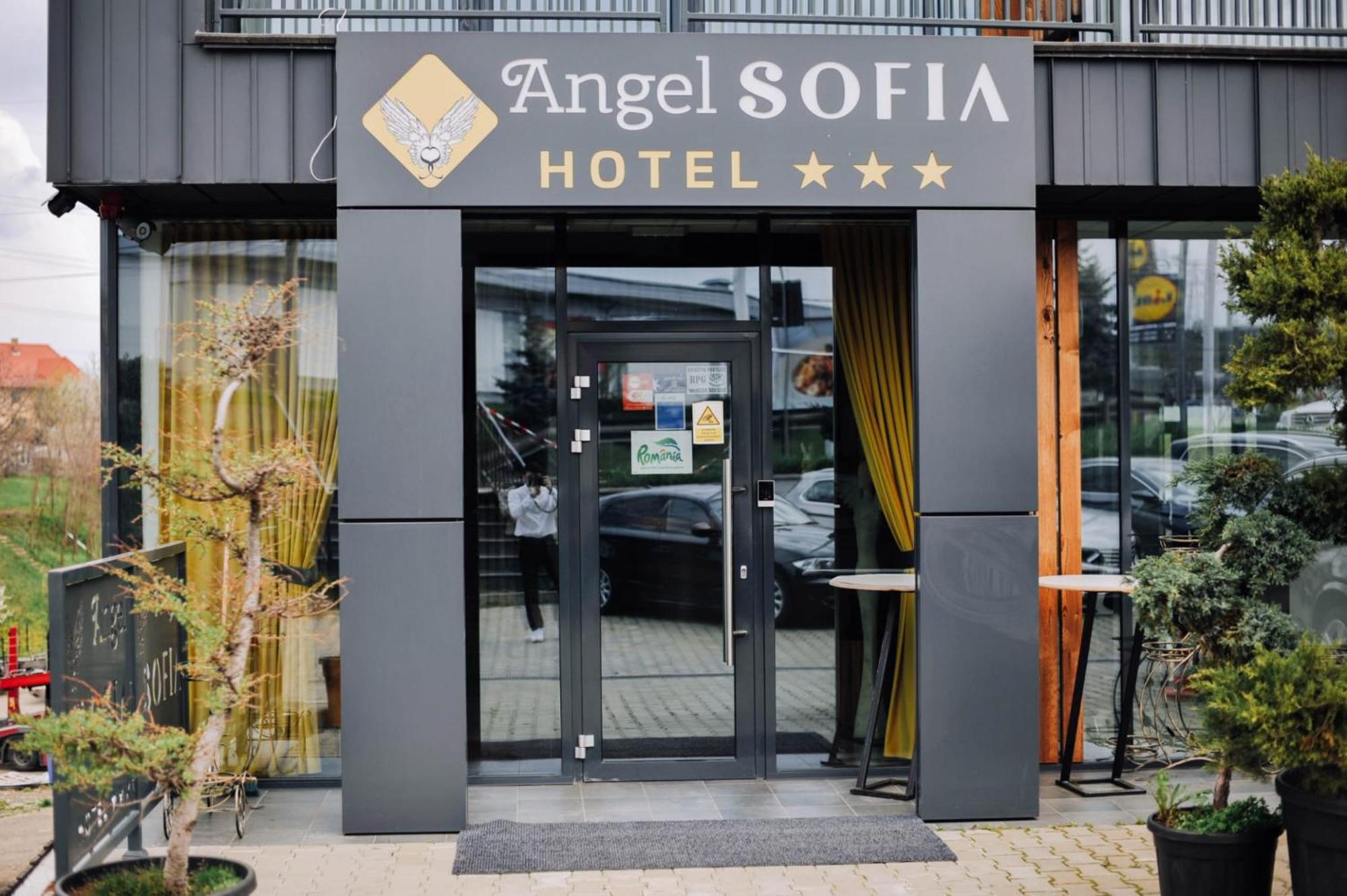 Hotel Angel Sofia Fălticeni Exteriér fotografie